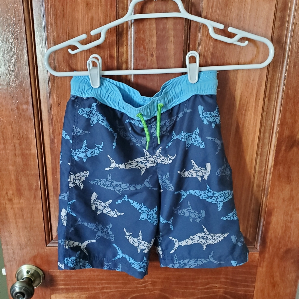 COPY - Lands End Boys Bathing suit